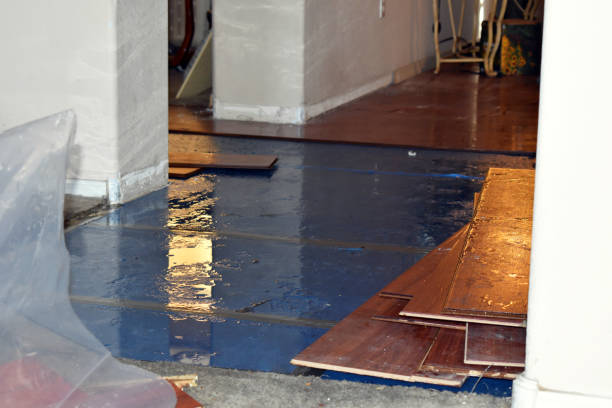 Professional Sewage Cleanup technician working in Dryden, MI